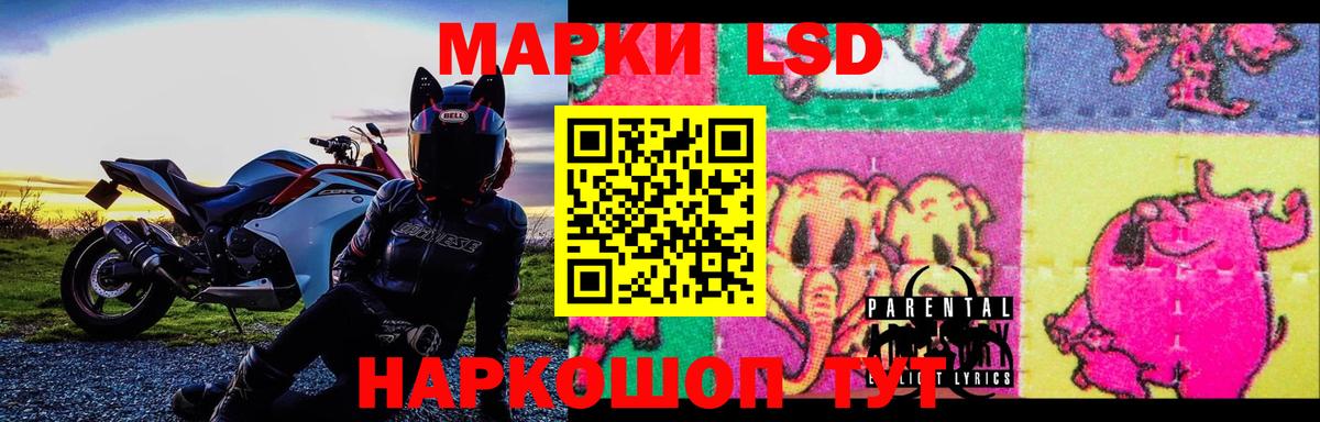 Бийск  LSD-25 экстази ecstasy  Вход с VPN  Лсд 25 экстази ecstasy 