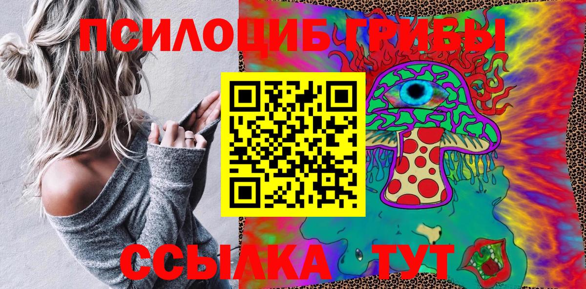 Галлюциногенные грибы Psilocybe Бийск