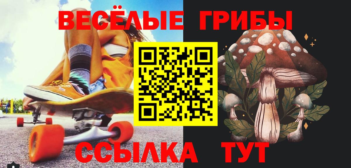 Бийск  Псилоцибиновые грибы прущие грибы  Вход с VPN 